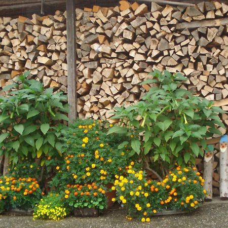 Pension Puhringer Мондзе Екстер'єр фото